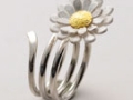 RINGelblume